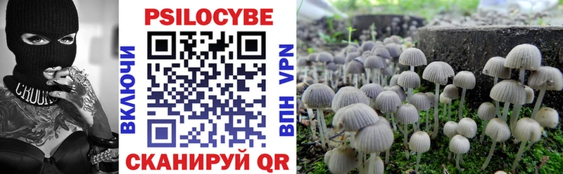 Галлюциногенные грибы Magic Shrooms  Новоузенск 